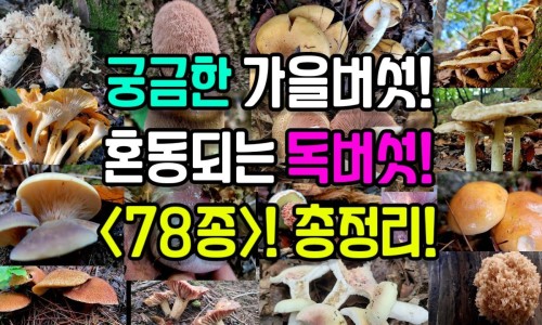 脸上暗黄是什么原因女性-脸上暗黄是什么原因网-分享怎么调理呢，脸上暗黄是什么原因引起的知识库