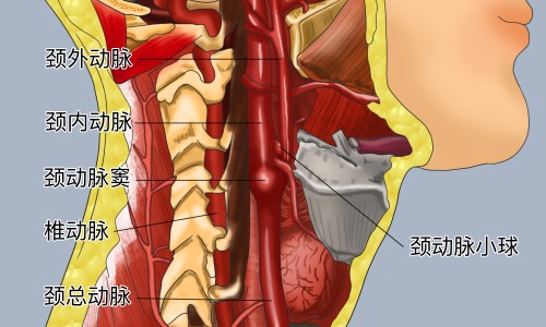 脸上暗黄是什么原因网-分享怎么调理呢，脸上暗黄是什么原因引起的知识库